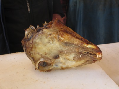 cooked animal head with teeth on a bench
