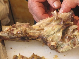 man's hand pulling meat apart