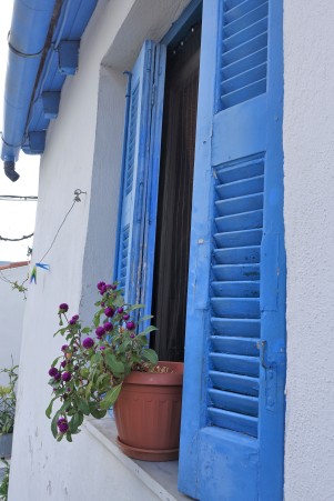 blue shutters and pot plant in Anafiotika, Athens